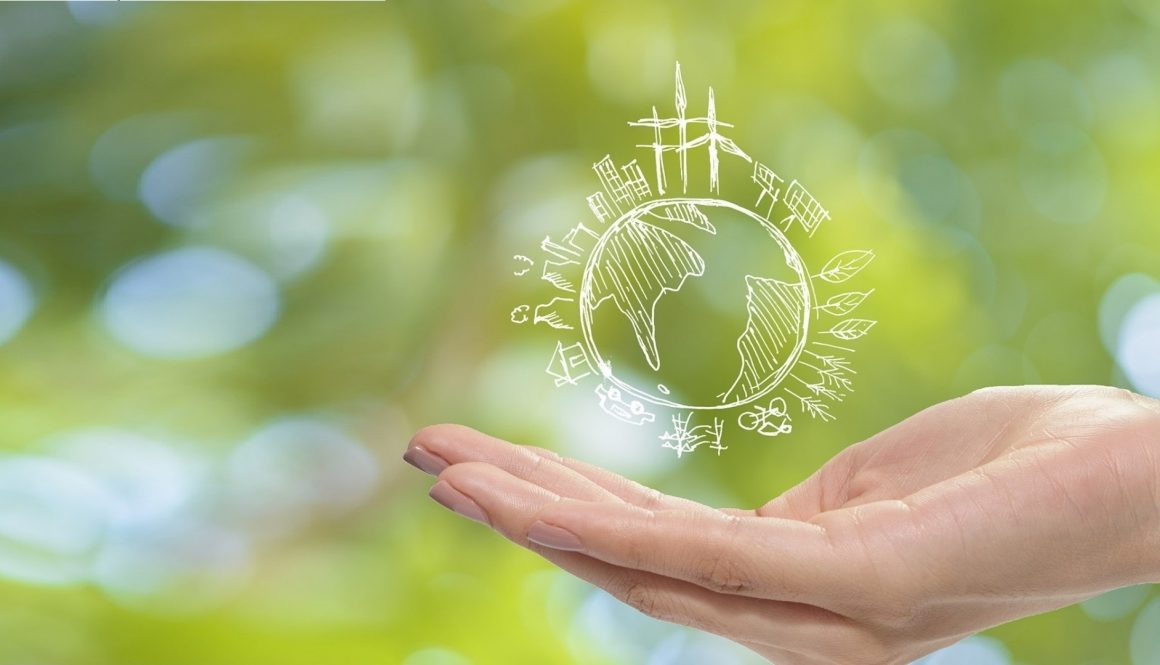 ¿Qué son los Centros Especiales de Empleo (CEE)?