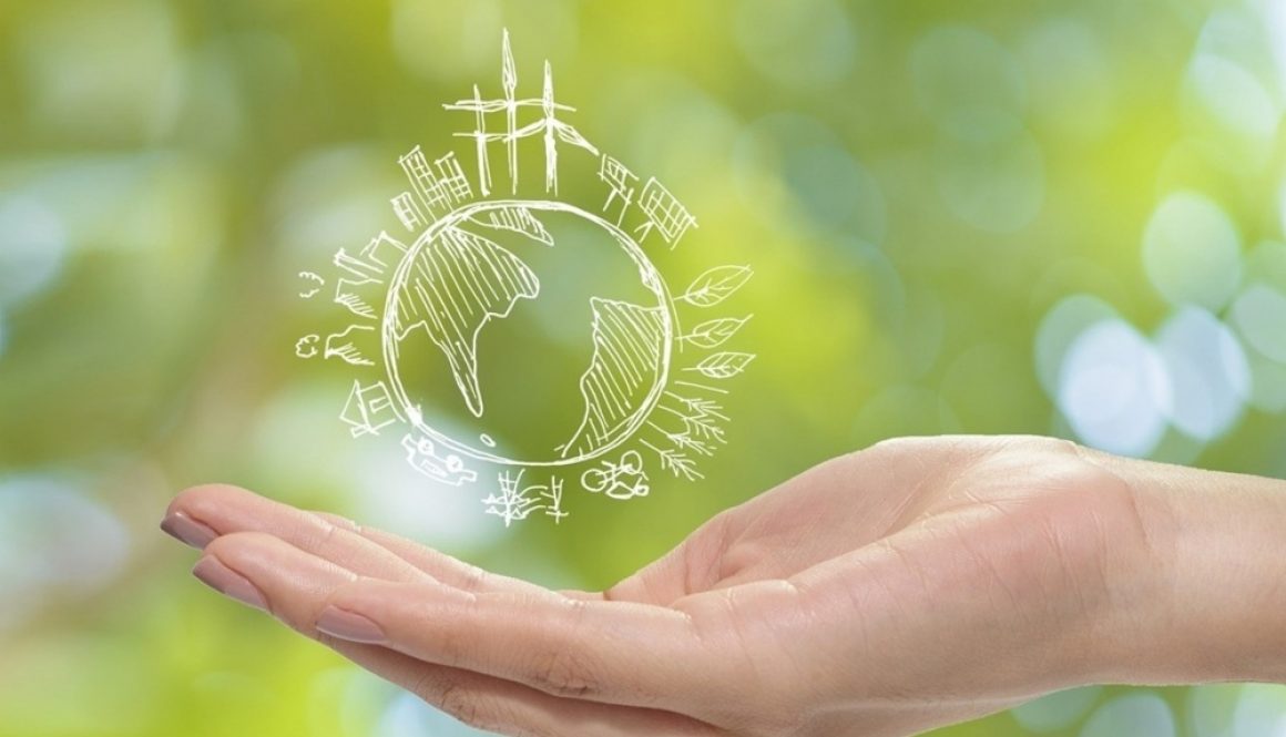 CISEX acaba de lanzar su nueva página web oficial