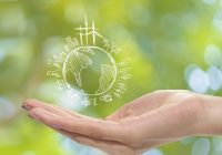 CISEX acaba de lanzar su nueva página web oficial